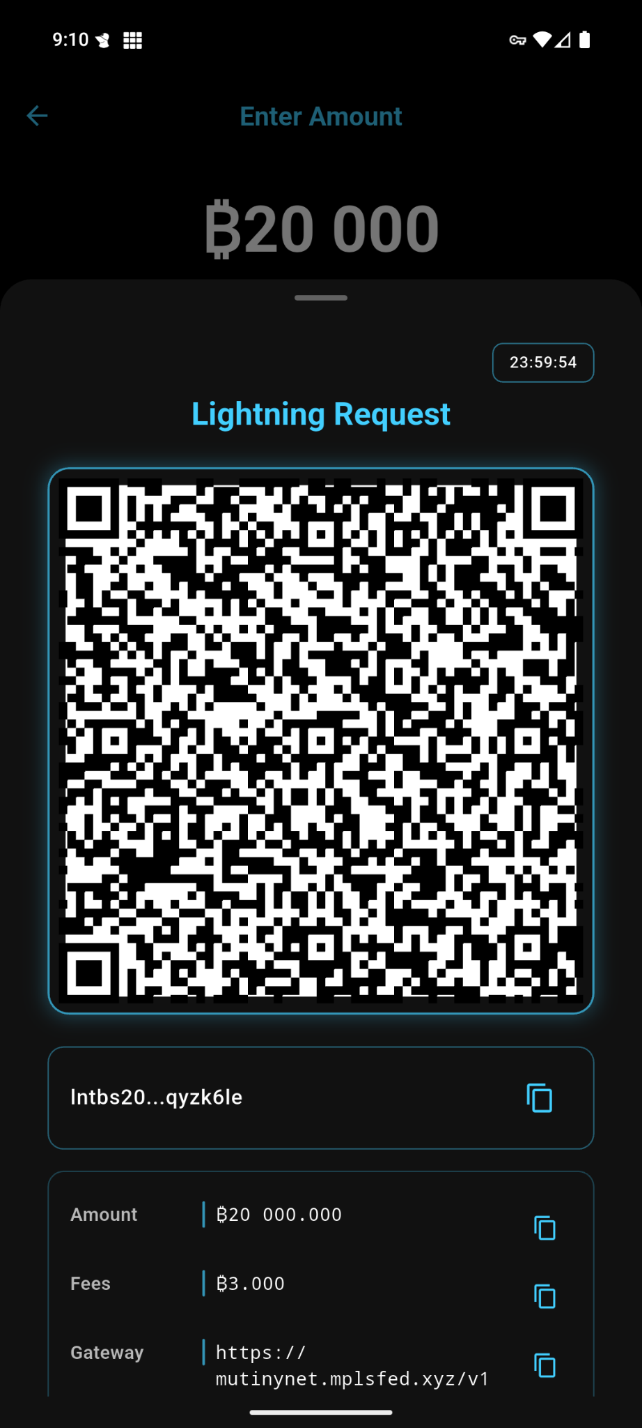 Lightning Network